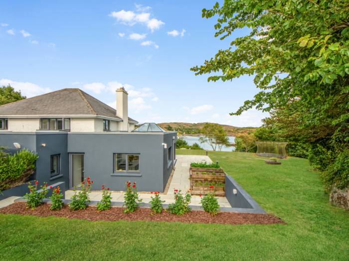 Side garden and contemporary extension